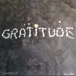 Gratitude print canvas