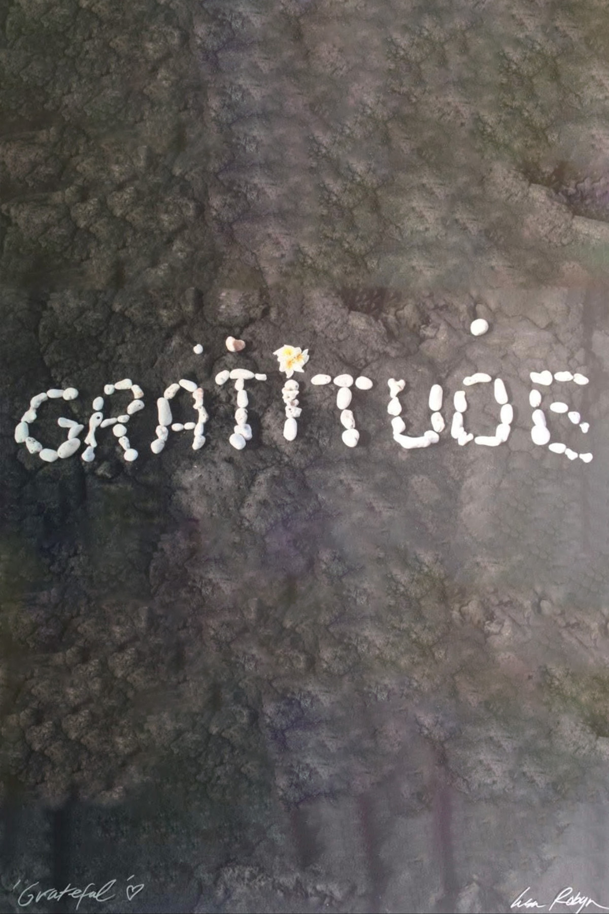 Portfolio - gratitude